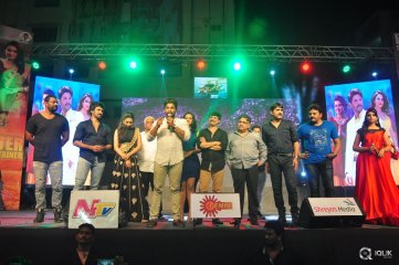 Sarrainodu Movie Blockbuster Function